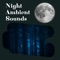 Sleep Music - Forest at Night Sounds, Night Sounds & Night Sounds Channel lyrics