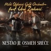 Nestao je osmeh sreće (Cover) - Single