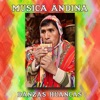 Música Andina, Danzas Huancas