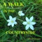 A Walk in the Countryside (Psycle Version) - Gaetano Chiummo lyrics