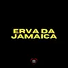 Stream & download Erva da Jamaica - Single