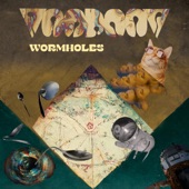 Wormholes artwork