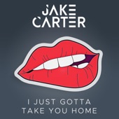 I Just Gotta Take You Home artwork