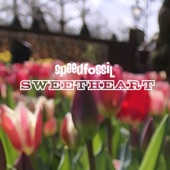 Speedfossil - Sweetheart
