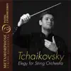 Elegy for String Orchestra - Single album lyrics, reviews, download
