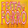 Festa do Forró album lyrics, reviews, download
