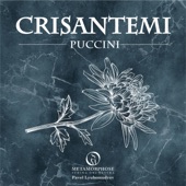 Crisantemi, SC 65 artwork