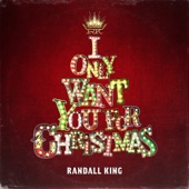 I Only Want You For Christmas artwork