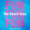 Fun, Fun, Fun (Steve Aoki Remix) artwork