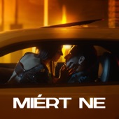 Miért ne (feat. Orsovai Reni) artwork