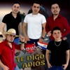 Te Digo Adiós - Single