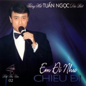 Cho Người Tình Lỡ artwork