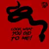 Look What You Did to Me - Single album lyrics, reviews, download