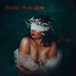 divine&acajou - Viens (Radio Edit)