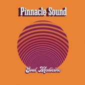 Pinnacle Sound - Thankful (feat. Jr Thomas & The Volcanos)