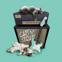 Cats ’n’ Strats by Fs3 album reviews, ratings, credits