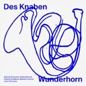 Mahler: Des Knaben Wunderhorn artwork