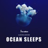 Ocean Sleeps (432Hz Version) - Single