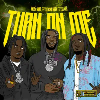 Turn on Me (feat. EST Gee) - Single by Mula Mod & Fettuccine Meek album reviews, ratings, credits