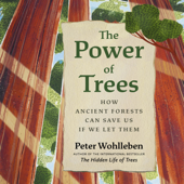 The Power of Trees - Peter Wohlleben Cover Art
