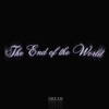 The End of the World - Single