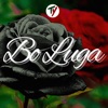 Bo Luga - Single