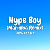 Hype Boy (Marimba Version) artwork