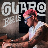 Guaro artwork