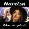 Crize de gelozie - Single