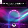 What Do You Know? - Single