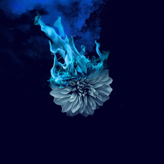 Cover artwork for Lowborn