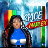 Spice - Spice Marley