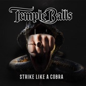 Strike Like a Cobra artwork