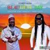 BEAUTIFUL DAY (feat. CAPLETON & INNER VOICE) - Single