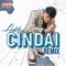 Cindai (Cover Remix) artwork