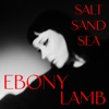 Salt Sand Sea - Single