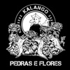 Pedras e Flores - Single