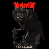 Skoggangr (Single Version) artwork