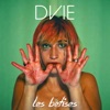 Les Bêtises - Single