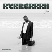 Evergreen artwork