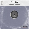 Control / Liquidub - Single