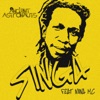 Singa (feat. Niina Mc) - Single