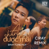Ai Chung Tình Được Mãi (Remix) artwork