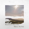 Walk in the Park - Single