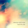 Ambient Preludes (Violin Version) - EP album lyrics, reviews, download
