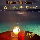 Attracting Not Chasing - Single