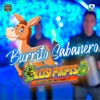 Burrito Sabanero - Single