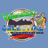 Vallenatazo Celestial (feat. Ramón Moncho Bastidas, Gabriel Chiche Maestre & Mancel Cárdenas) artwork