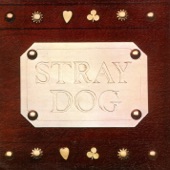 Stray Dog - Chevrolet