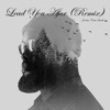 Lead You Afar (Remix) - Single